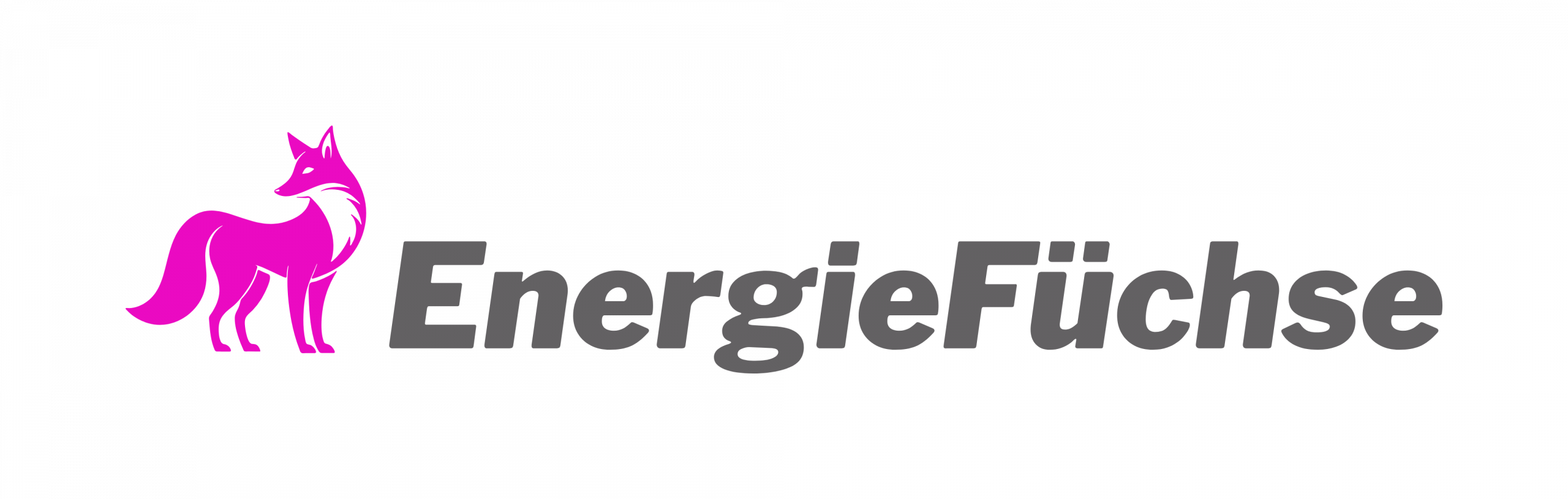Energiefüchse